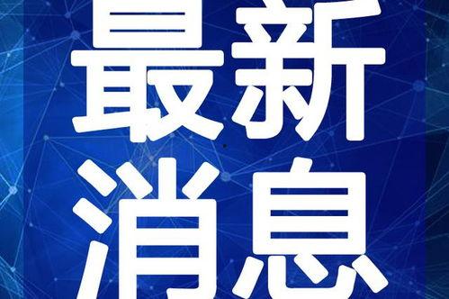 派派最新爆料新闻视频,最新爆料新闻视频深度解析  第3张